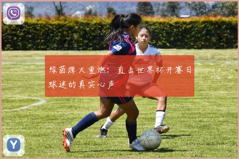 绿茵烽火重燃:直击世界杯开赛日球迷的真实心声