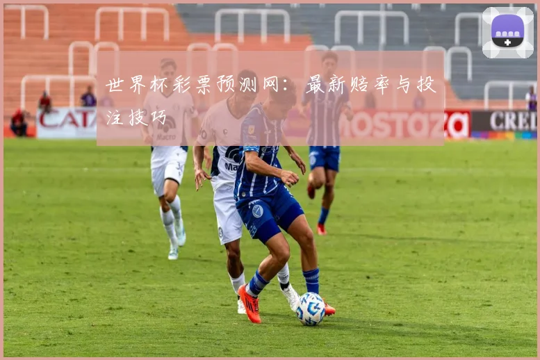 世界杯彩票预测网:最新赔率与投注技巧