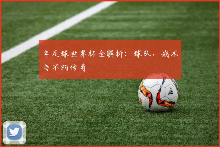 年足球世界杯全解析：球队、战术与不朽传奇