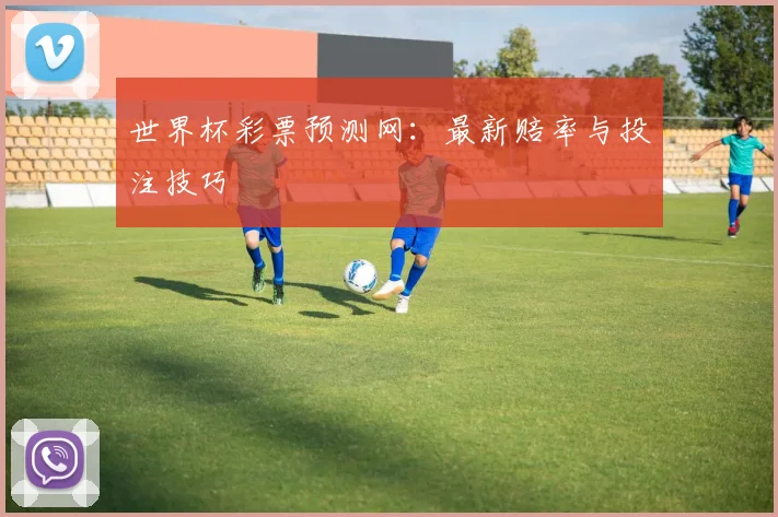 世界杯彩票预测网：最新赔率与投注技巧