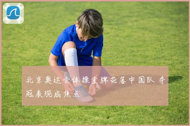 北京奥运会体操金牌花落中国队 夺冠表现成焦点