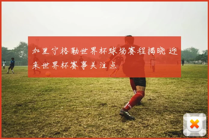 加里宁格勒世界杯球场赛程揭晓 迎来世界杯赛事关注点