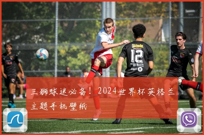 三狮球迷必备!2024世界杯英格兰主题手机壁纸