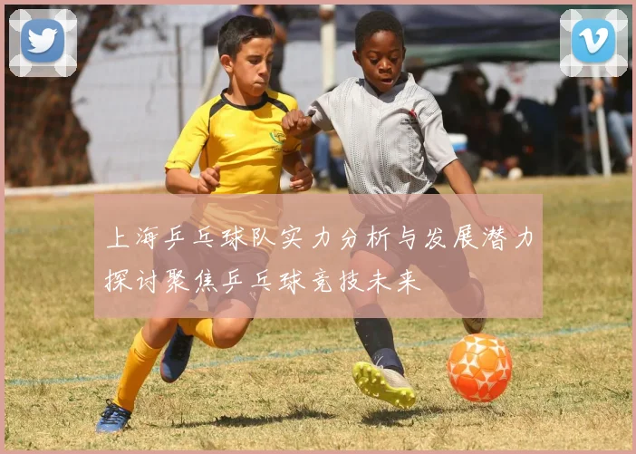 上海乒乓球队实力分析与发展潜力探讨聚焦乒乓球竞技未来