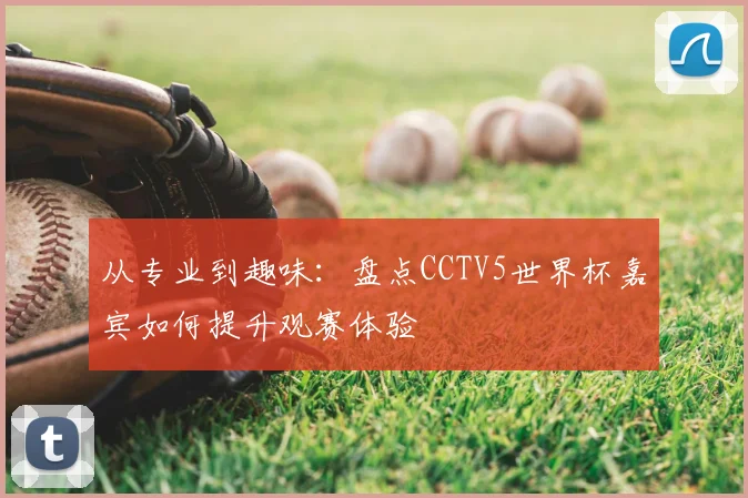 从专业到趣味:盘点CCTV5世界杯嘉宾如何提升观赛体验