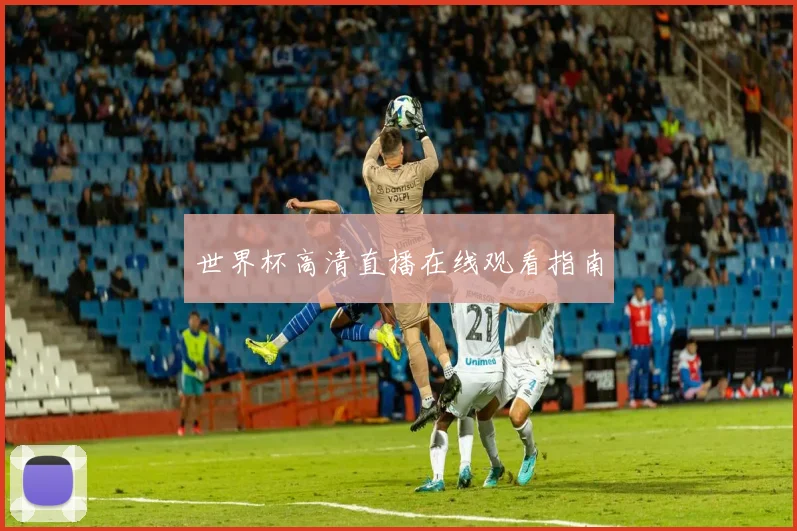 世界杯高清直播在线观看指南
