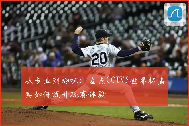 从专业到趣味:盘点CCTV5世界杯嘉宾如何提升观赛体验