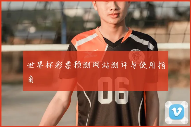 世界杯彩票预测网站测评与使用指南